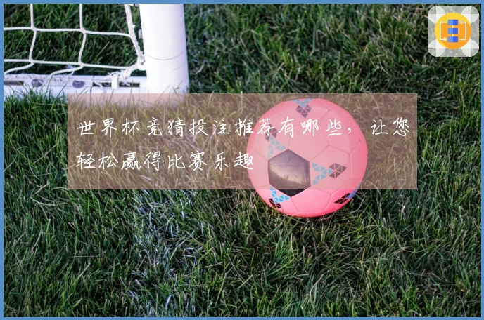 世界杯竞猜投注推荐有哪些，让您轻松赢得比赛乐趣