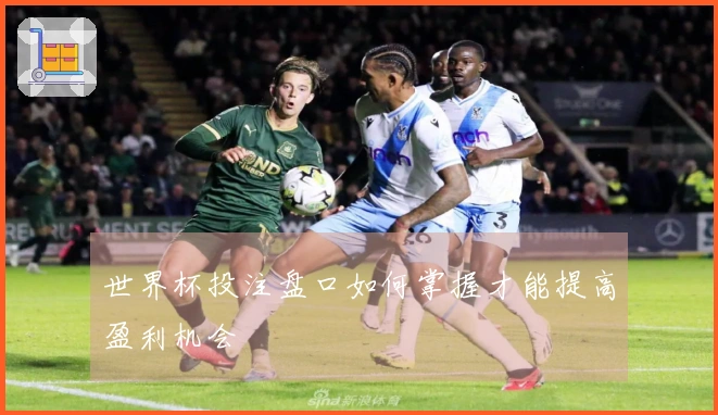 世界杯投注盘口如何掌握才能提高盈利机会