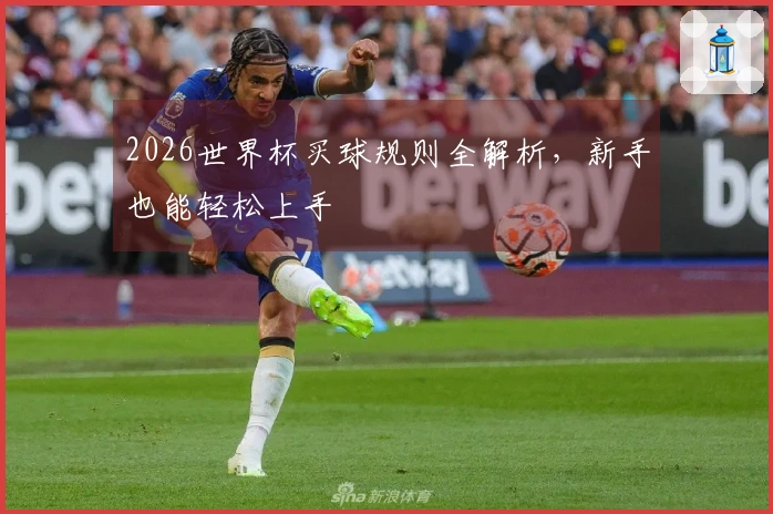 2026世界杯买球规则全解析，新手也能轻松上手