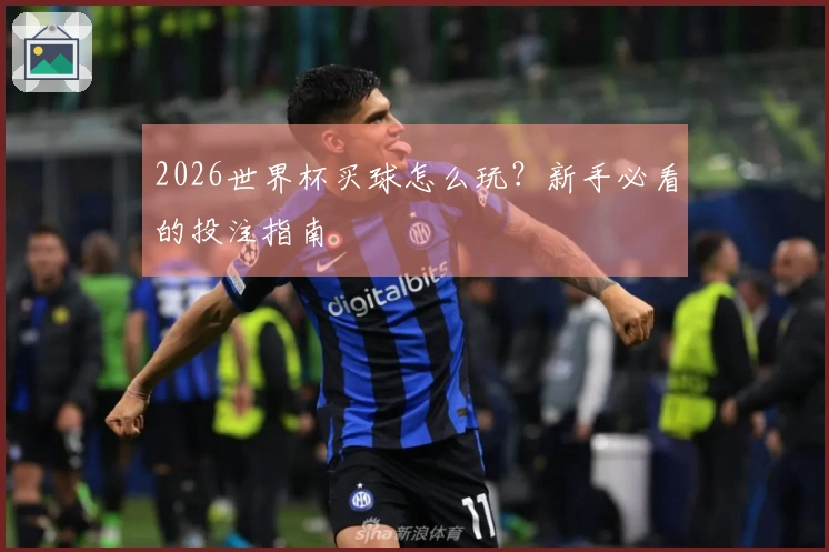 2026世界杯买球怎么玩？新手必看的投注指南