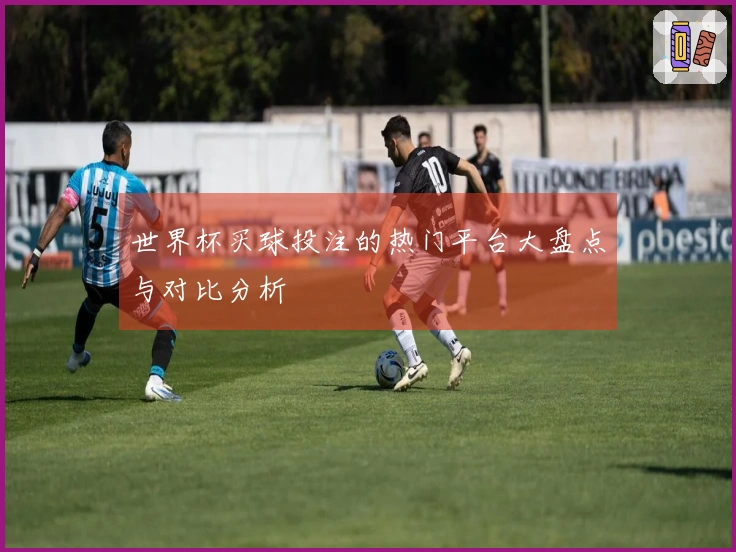 世界杯买球投注的热门平台大盘点与对比分析