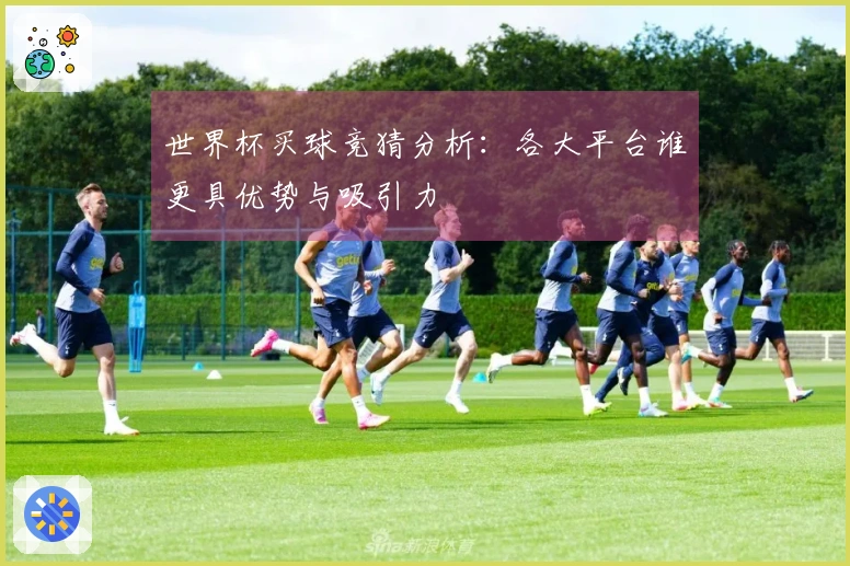 世界杯买球竞猜分析：各大平台谁更具优势与吸引力