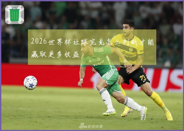 2026世界杯让球究竟怎么判断才能赢取更多收益