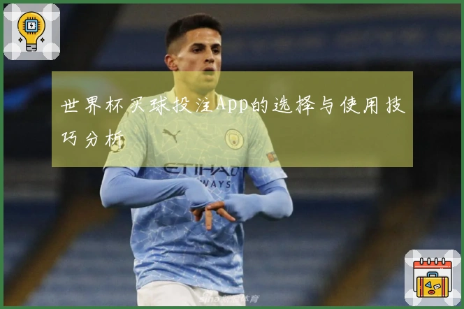 世界杯买球投注App的选择与使用技巧分析