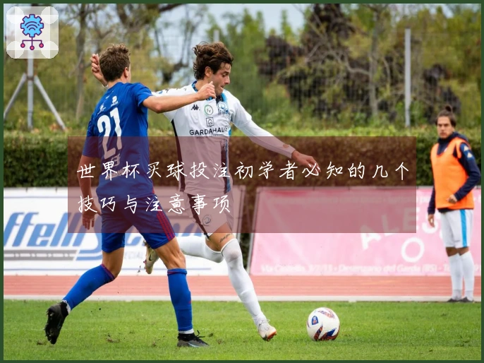 世界杯买球投注初学者必知的几个技巧与注意事项