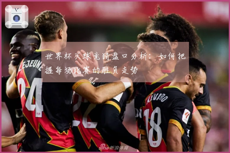 世界杯买球竞猜盘口分析：如何把握每场比赛的胜负走势
