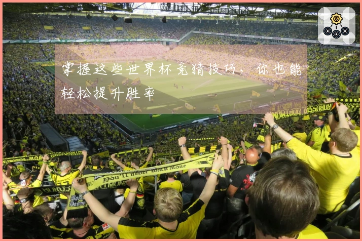 掌握这些世界杯竞猜技巧，你也能轻松提升胜率